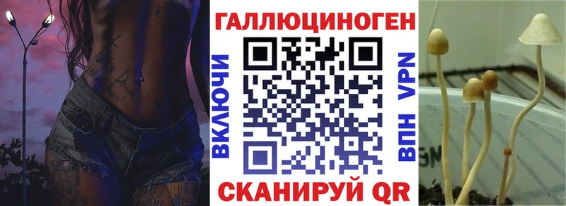 Псилоцибиновые грибы GOLDEN TEACHER купить закладку Фёдоровский